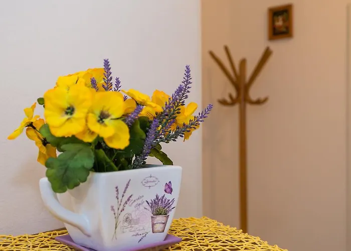 Zapadna Obala Готель *