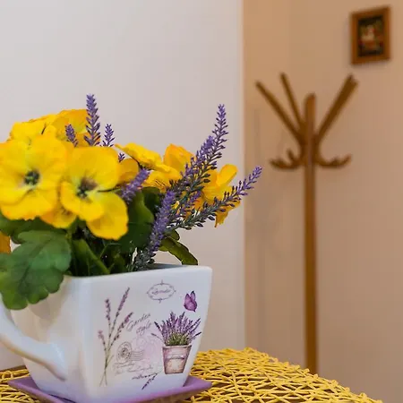 Zapadna Obala Apartmán *
